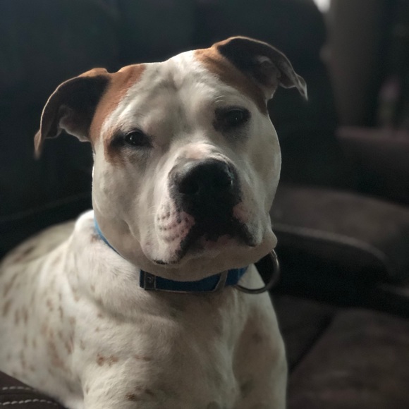 Meet your Posher, Michelle - Picture 6 of 8